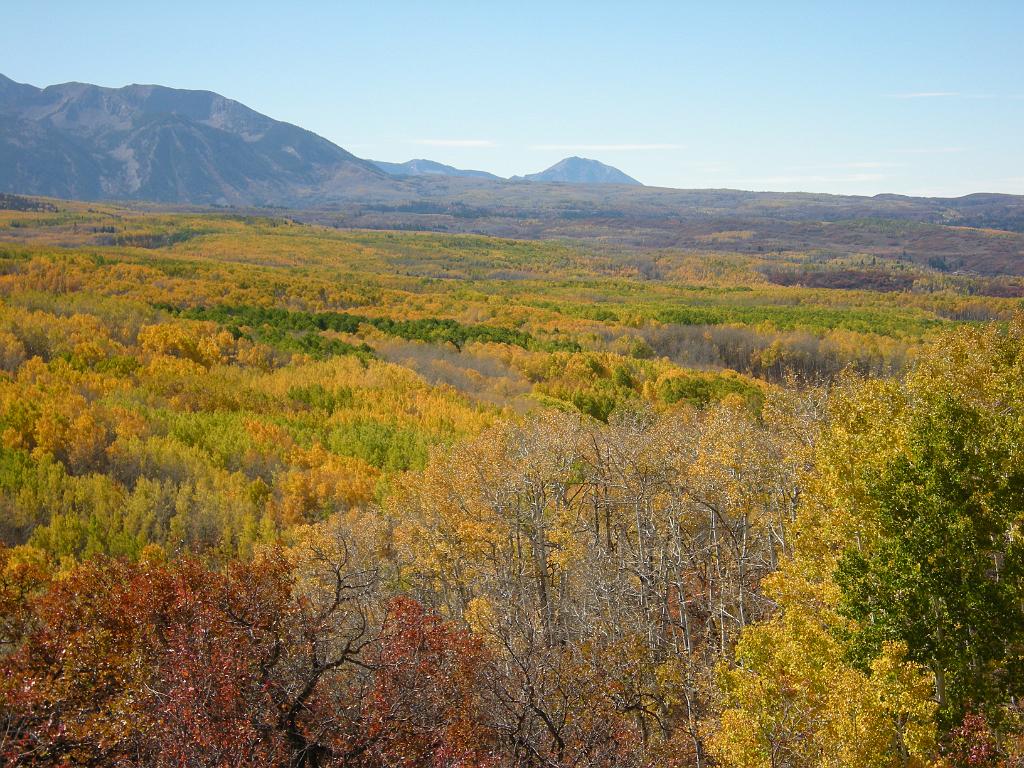 fall09 096